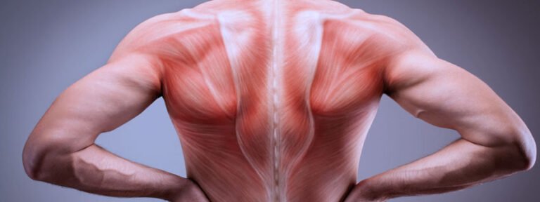 Fascias & Massage Myo-Fascial : comprendre, libérer et optimiser votre corps